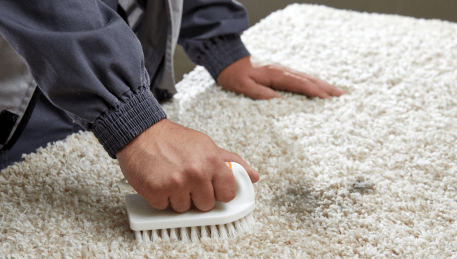 Professional Rug Cleaning Myrniong